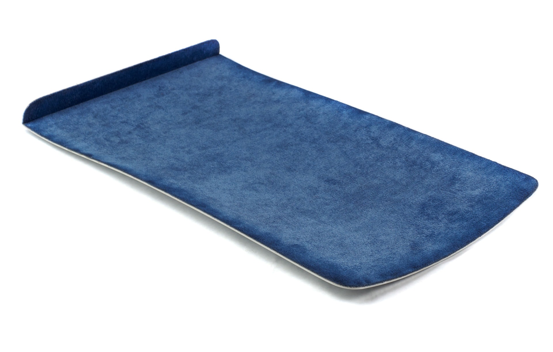 OLYMPUS DIGITAL CAMERA PDR Door shield 450x250mm / 17,7x9,8" Carepoint 217